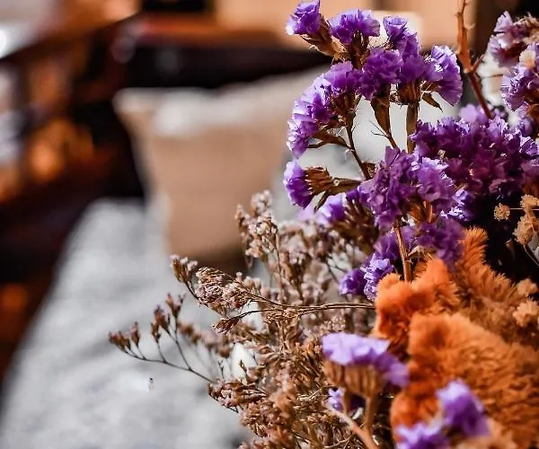 Maison Garnier De Charme Hotel